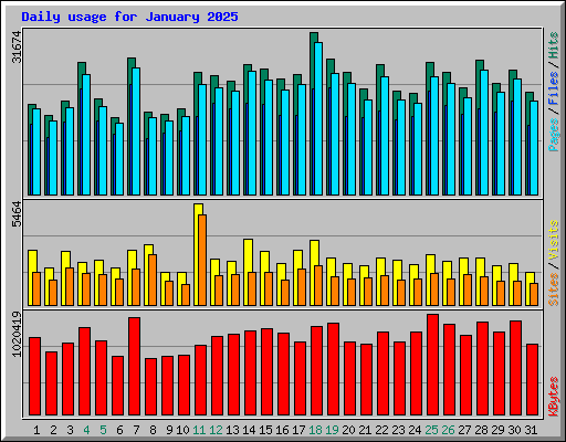 Daily usage for January 2025