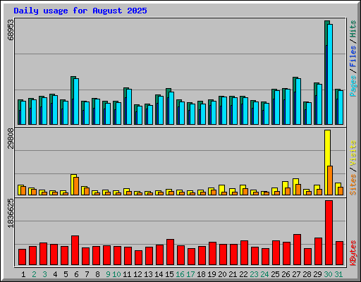 Daily usage for August 2025