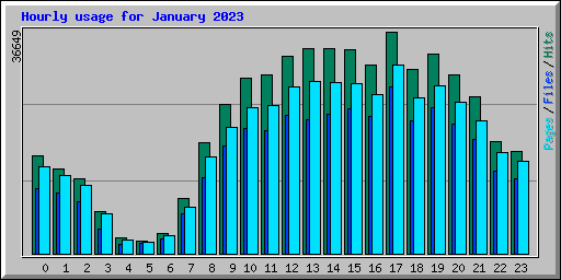 Hourly usage for January 2023