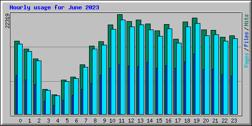 Hourly usage for June 2023