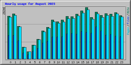Hourly usage for August 2023