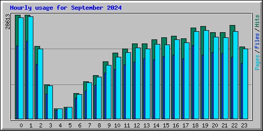 Hourly usage for September 2024