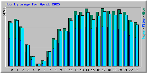 Hourly usage for April 2025