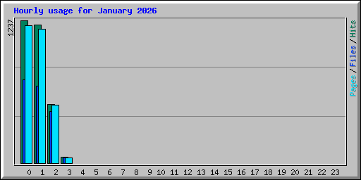 Hourly usage for January 2026
