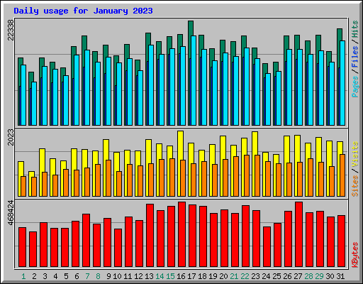 Daily usage for January 2023