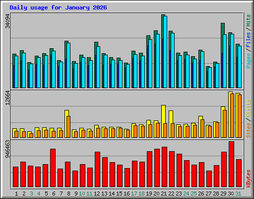 Daily usage for January 2026