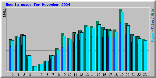 Hourly usage for November 2024