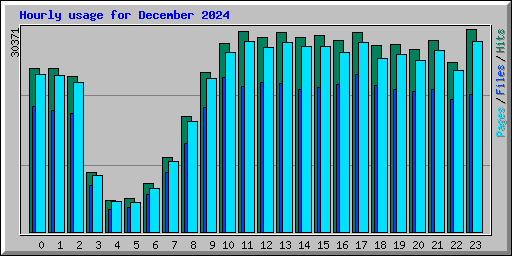 Hourly usage for December 2024
