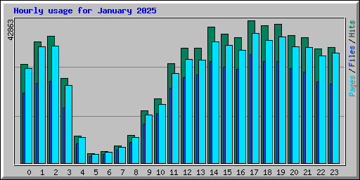 Hourly usage for January 2025
