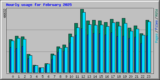 Hourly usage for February 2025