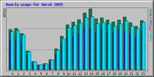 Hourly usage for March 2025