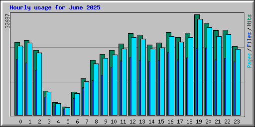Hourly usage for June 2025