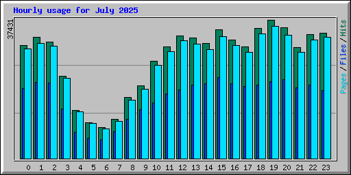 Hourly usage for July 2025