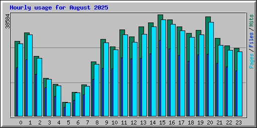 Hourly usage for August 2025