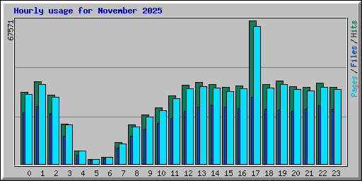 Hourly usage for November 2025