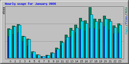 Hourly usage for January 2026